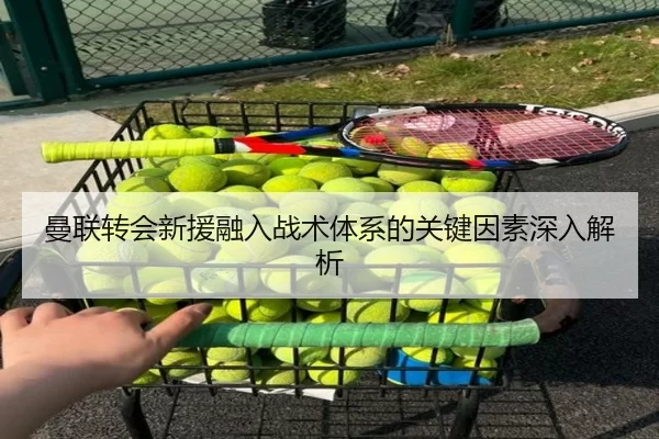 曼联转会新援融入战术体系的关键因素深入解析